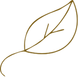 Natural, Luxurious Fabrics